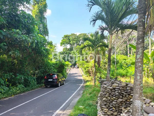 image LAHAN VIEW SUNGAI DEKAT BALI ZOO & UBUD – COCOK UNTUK VILLA (3)