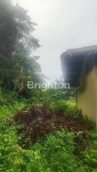 image KAVLING SEKUPANG  8.000M² LOKASI ASRI. DI BATAM (4)