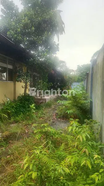 image KAVLING SEKUPANG  8.000M² LOKASI ASRI. DI BATAM (5)