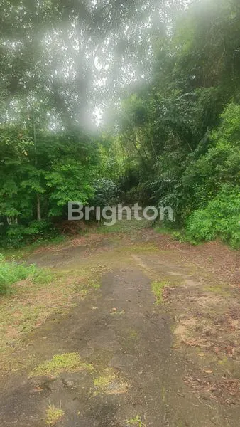 image KAVLING SEKUPANG  8.000M² LOKASI ASRI. DI BATAM (7)