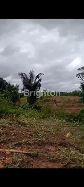 image TANAH LUAS DI IKN, LOKASI PREMIUM (5)