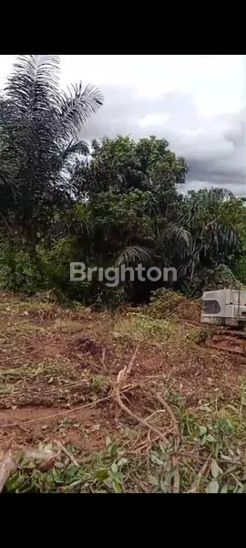 image TANAH LUAS DI IKN, LOKASI PREMIUM (6)