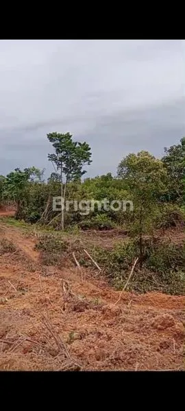 image TANAH LUAS DI IKN, LOKASI PREMIUM (4)