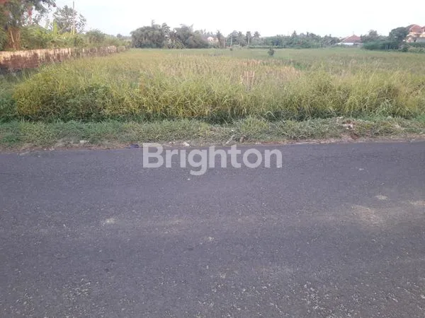 image DIJUAL TANAH DIPINGGIR JALAN KELATING35,5 ARE (5)