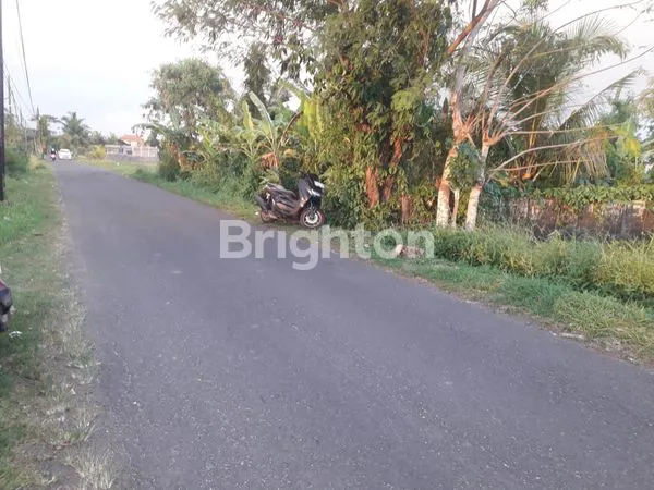 image DIJUAL TANAH DIPINGGIR JALAN KELATING35,5 ARE (3)