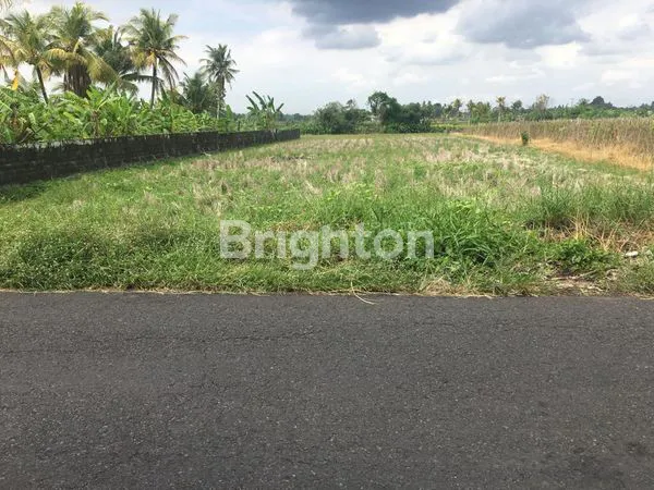 image DIJUAL TANAH DIPINGGIR JALAN KELATING35,5 ARE (2)