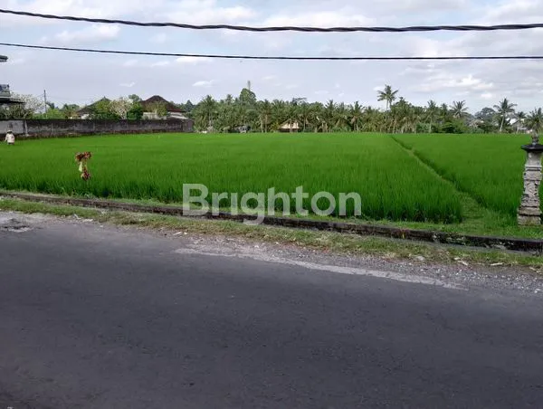 image DIJUAL TANAH JL YEH GANGGA 26ARE (3)