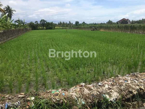 image DIJUAL TANAH JL YEH GANGGA 26ARE (2)