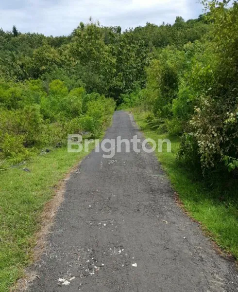 image TANAH KAVLING SIAP BANGUN 500 M² OCEAN VIEW DI PEJUKUTAN NUSA PENIDA (6)
