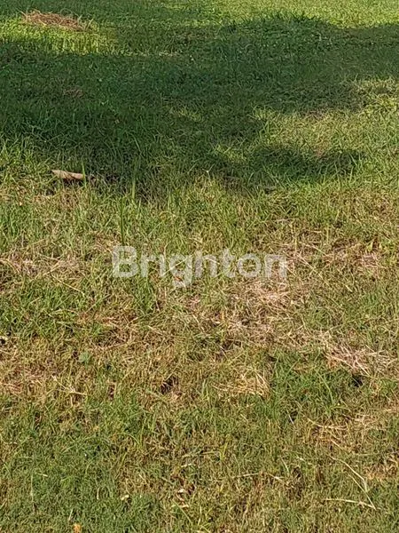 image KAVLING KOTAK MURAH WATERFRONT CITRALAND SURABAYA BARAT DEKAT PAKUWON INDAH, GRAHA FAMILI, DARMO PERMAI (1)