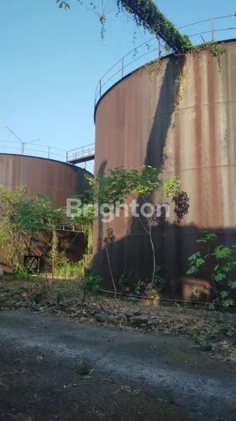 image DIJUAL TANAH 10,000M2 DI DESA BAMBE GRESIK JAWATIMUR\\\\N (8)