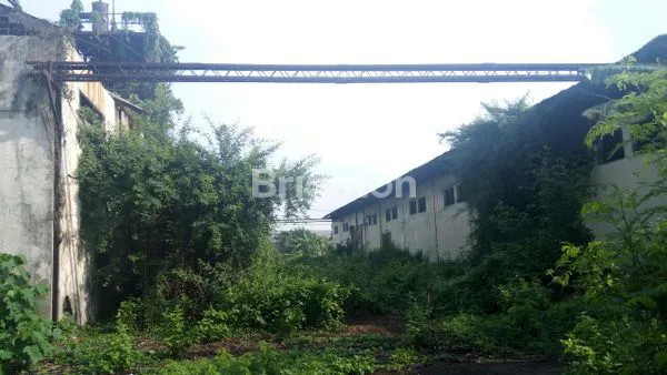 image DIJUAL TANAH 10,000M2 DI DESA BAMBE GRESIK JAWATIMUR\\\\N (3)