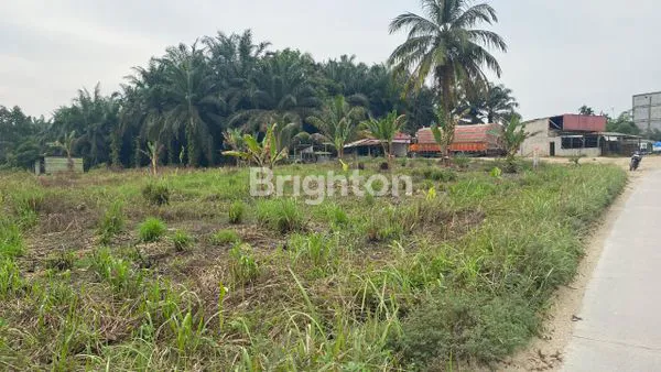 image LAHAN SIAP UNTUK DIBANGUN (2)