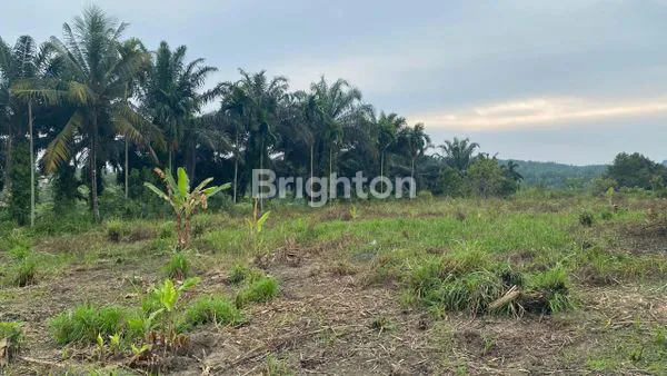 image LAHAN SIAP UNTUK DIBANGUN (4)