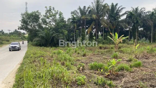 image LAHAN SIAP UNTUK DIBANGUN (3)