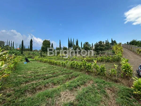 image TANAH STRATEGIS BUMIAJI 650M² DEKAT CAFE (2)