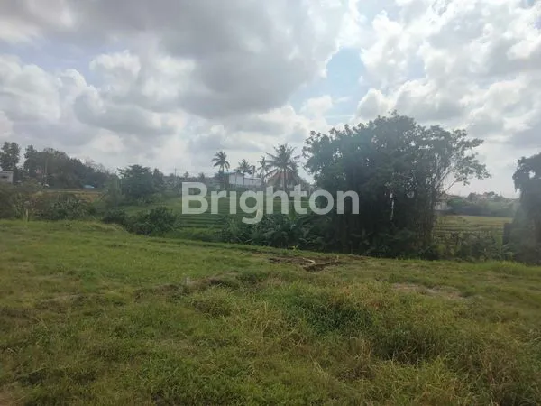 image DISEWAKAN TANAH JANGKA PANJANG, LOKASI SANGAT STRATEGIS VIEW\' SAWAH  (7)