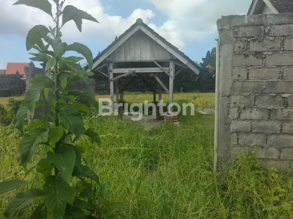 image DISEWAKAN TANAH JANGKA PANJANG, LOKASI SANGAT STRATEGIS VIEW\' SAWAH  (1)
