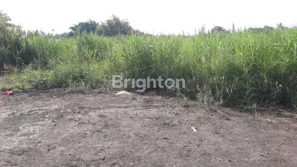 image TANAH SELUAS 4400 M² DI KODYA MEDAN (2)