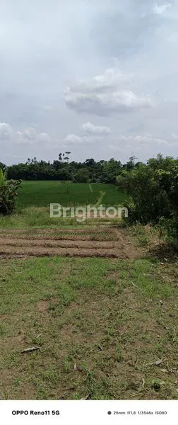 image TANAH KOSONG DI JALAN SEI MENCIRIM. (8)