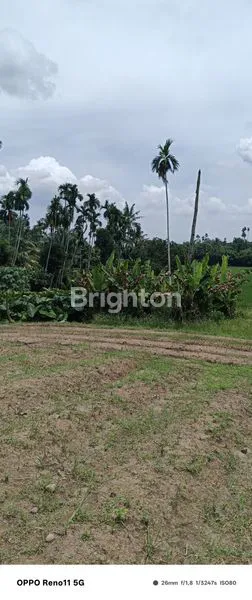 image TANAH KOSONG DI JALAN SEI MENCIRIM. (5)