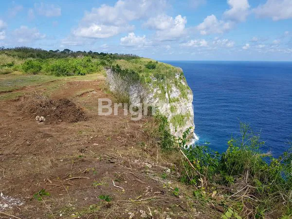 image KAVLING MURAH SEKARTAJI CLIFF DI NUSA PENIDA (1)