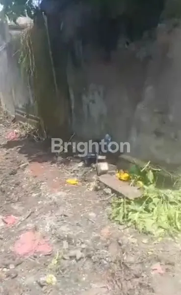 image LAHAN LUAS DENPASAR BARAT, HARGA MENARIK (2)