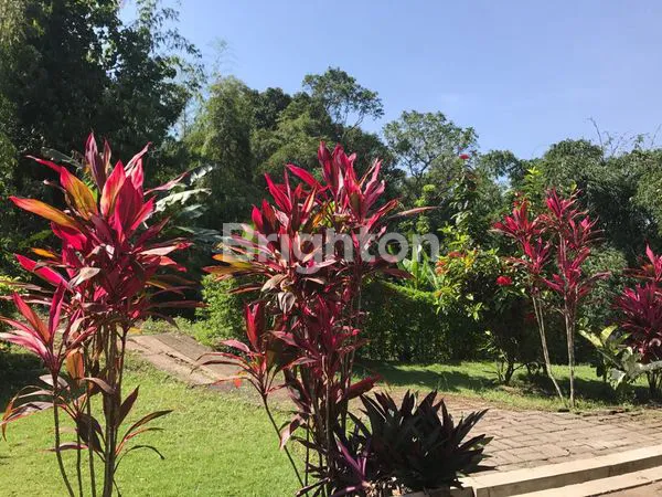 RUMAH VILLA DEKAT HAWAI WTP DENGAN LT.2526M² LB 200M², COCOK UNTUK DIBUAT RUMAH BERASRAMA, PERUMAHAN, GUESTHOUSE, VILLA DI TENGAH KOTA, DEKAT DENGAN WISATA HAWAI WTP