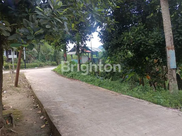 image DIJUAL TANAH LAHAN TERMURAH DI PALARAN PINGGIR JALAN COR SAMARINDA SEBERANG (4)