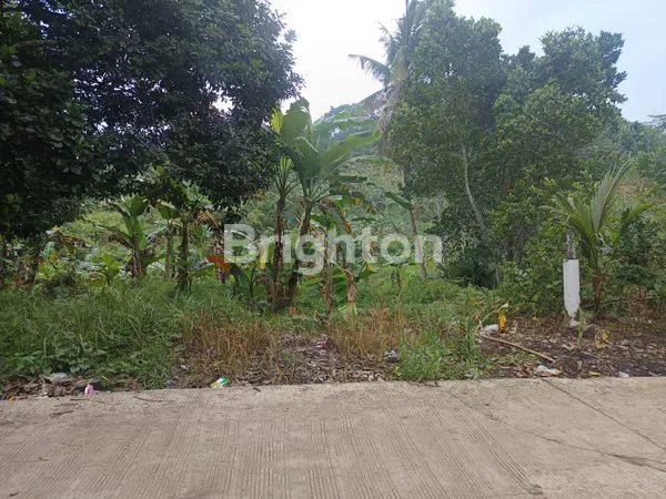 image DIJUAL TANAH LAHAN TERMURAH DI PALARAN PINGGIR JALAN COR SAMARINDA SEBERANG (3)