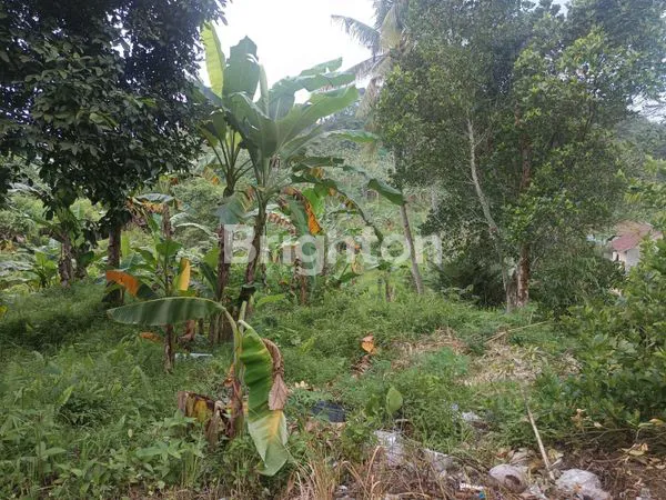 image DIJUAL TANAH LAHAN TERMURAH DI PALARAN PINGGIR JALAN COR SAMARINDA SEBERANG (6)