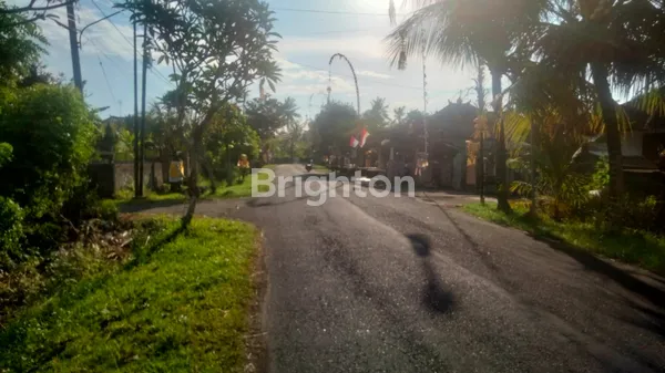 image TANAH JUAL DEKAT PANTAI DI PERANCAK JEMBRANA NEGARA  (4)