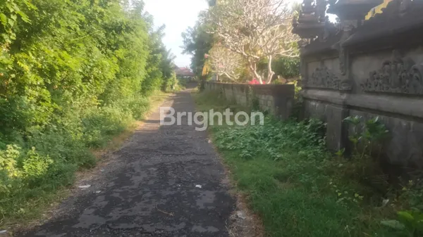 image TANAH JUAL DEKAT PANTAI DI PERANCAK JEMBRANA NEGARA  (5)