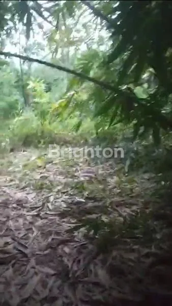 image TANAH DI KEDUNGPANE MIJEN SEMARANG (1)