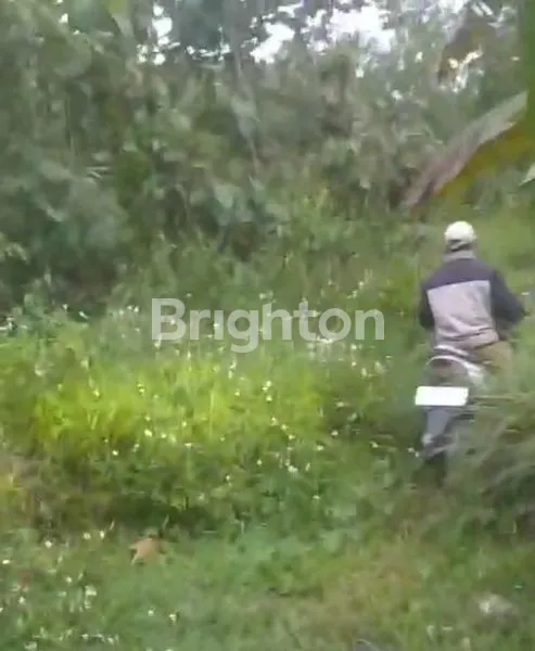 image TANAH DI KEDUNGPANE MIJEN SEMARANG (7)