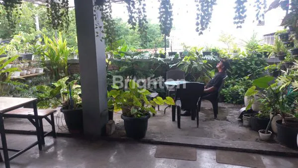 image RUKO 3 LANTAI DI KAPASARI, LOKASI PREMIUM (5)