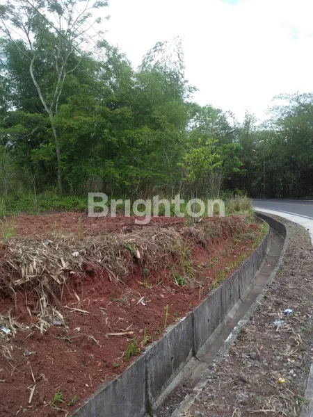 image TANAH DI CIAMIS BANJAR (3)