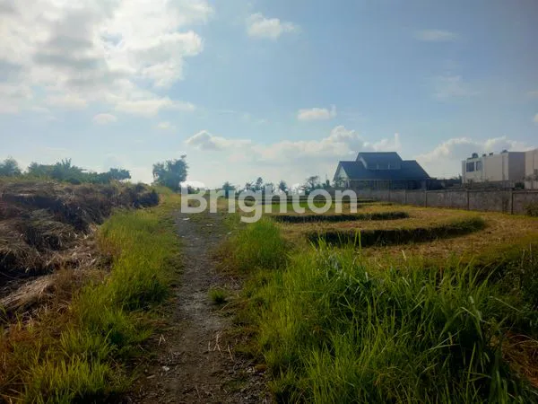 image DISEWAKAN TANAH PINGGIR JALAN, VIEW SAWAH  (6)