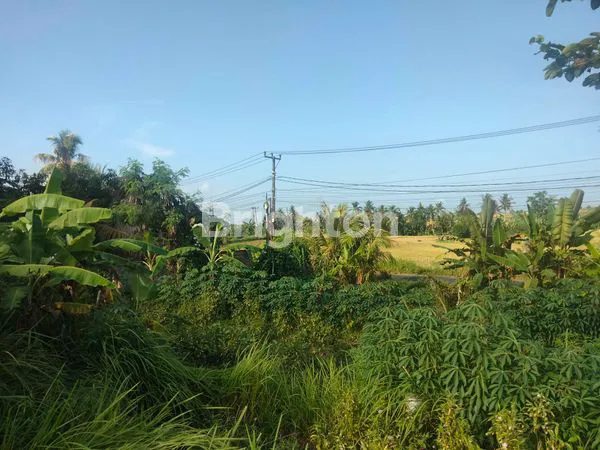 image DISEWAKAN TANAH PINGGIR JALAN, VIEW SAWAH  (4)