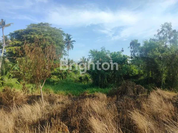 image DISEWAKAN TANAH PINGGIR JALAN, VIEW SAWAH  (5)