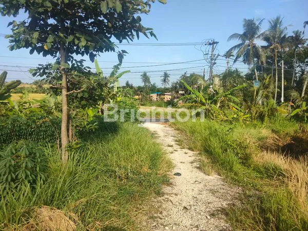 image DISEWAKAN TANAH PINGGIR JALAN, VIEW SAWAH  (2)