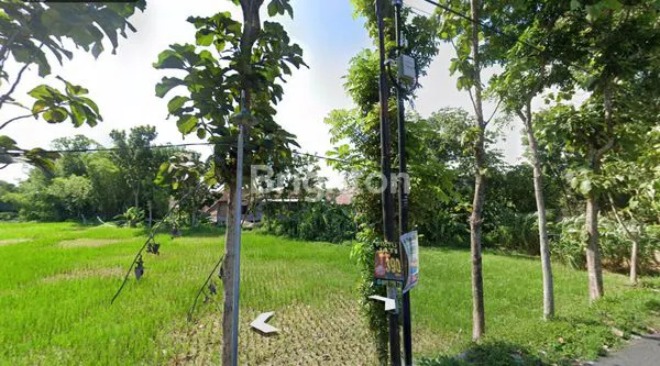 image TANAH STRATEGIS PINGGIR JALAN SELOKAN MATARAM SINDUADI (4)