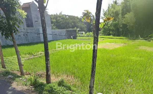 image TANAH STRATEGIS PINGGIR JALAN SELOKAN MATARAM SINDUADI (1)