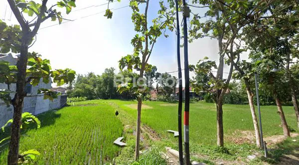 image TANAH STRATEGIS PINGGIR JALAN SELOKAN MATARAM SINDUADI (5)