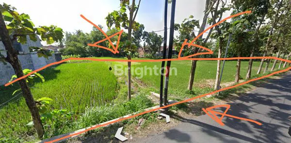 image TANAH STRATEGIS PINGGIR JALAN SELOKAN MATARAM SINDUADI (2)