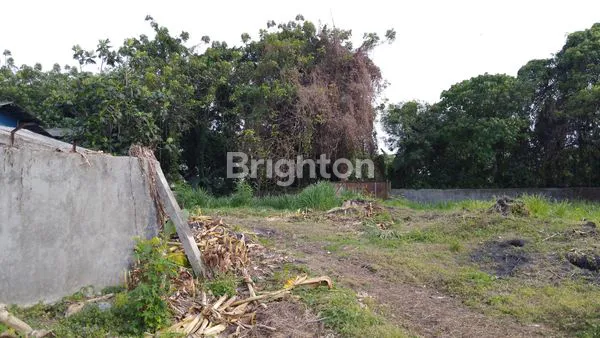 image GUDANG DANA TANAH  NEGLASARI MURAH  (4)