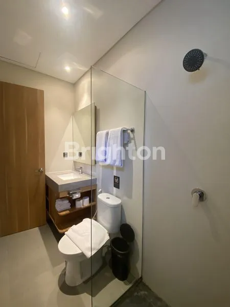 image LUXURY APARTMENT  AT CANGGU (3)