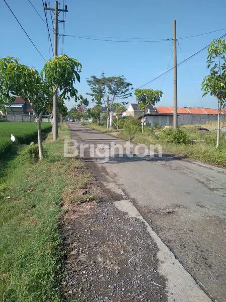 image TANAH STRATEGIS SIDOHARJO SRAGEN (1)