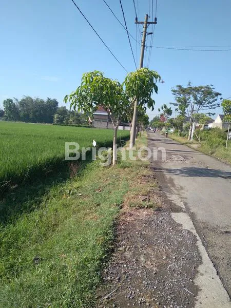image TANAH STRATEGIS SIDOHARJO SRAGEN (2)
