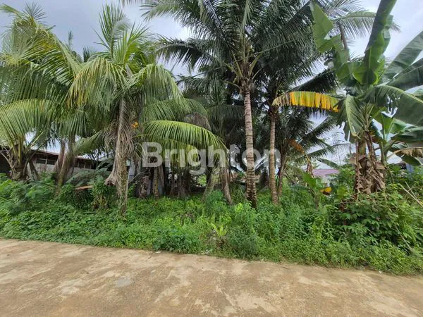 image TANAH STRATEGIS 523M² DI JL KAHOI (1)